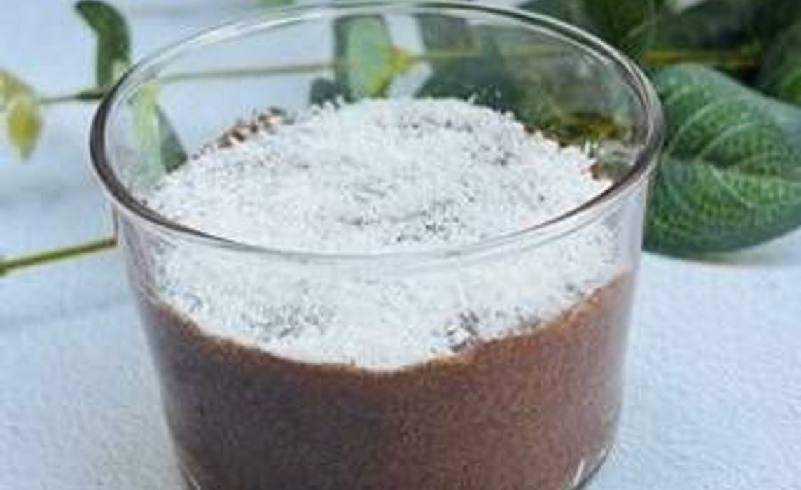 MOUSSE CHOCOLAT VEGAN