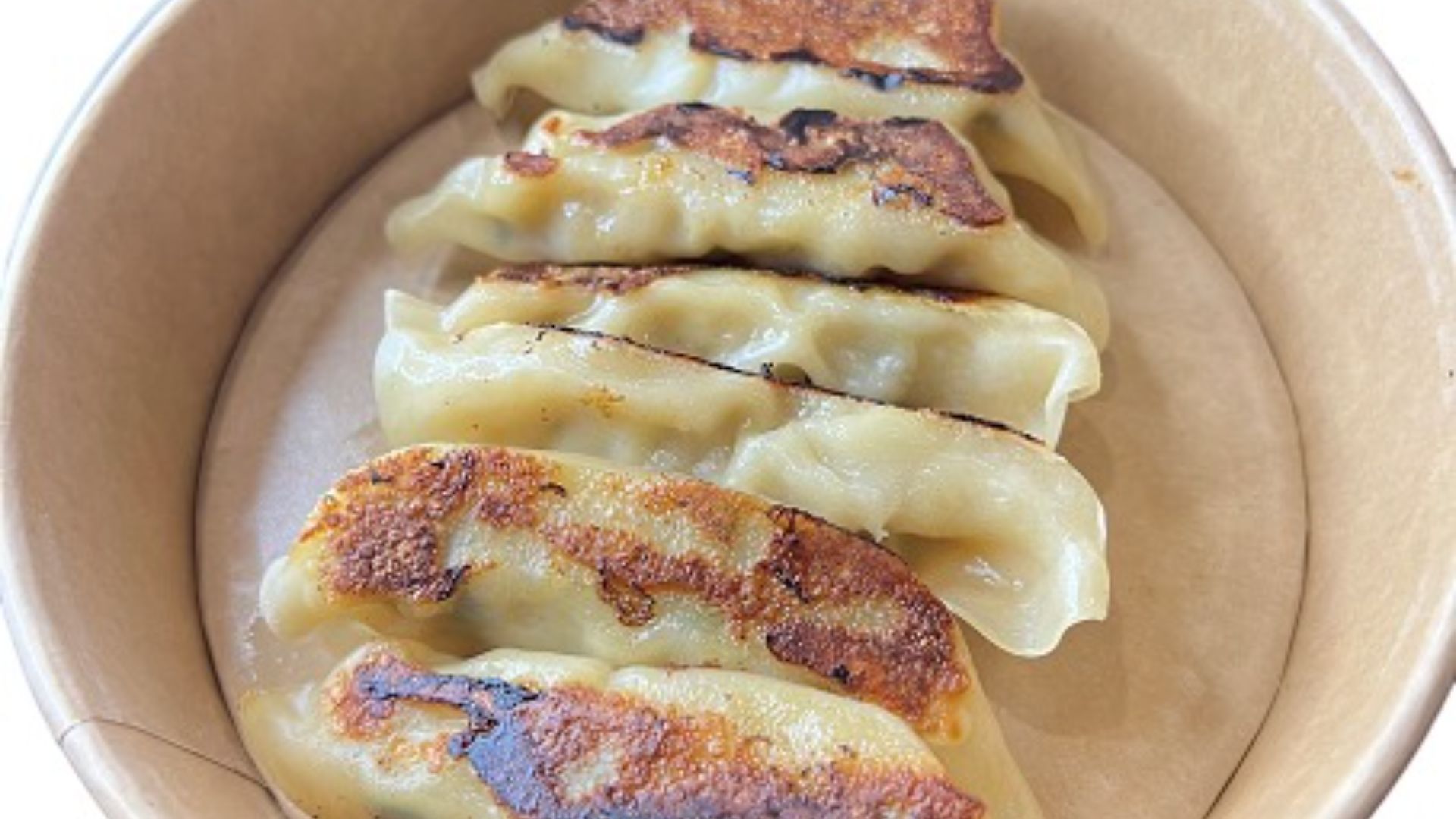 Pork & Chicken Gyoza