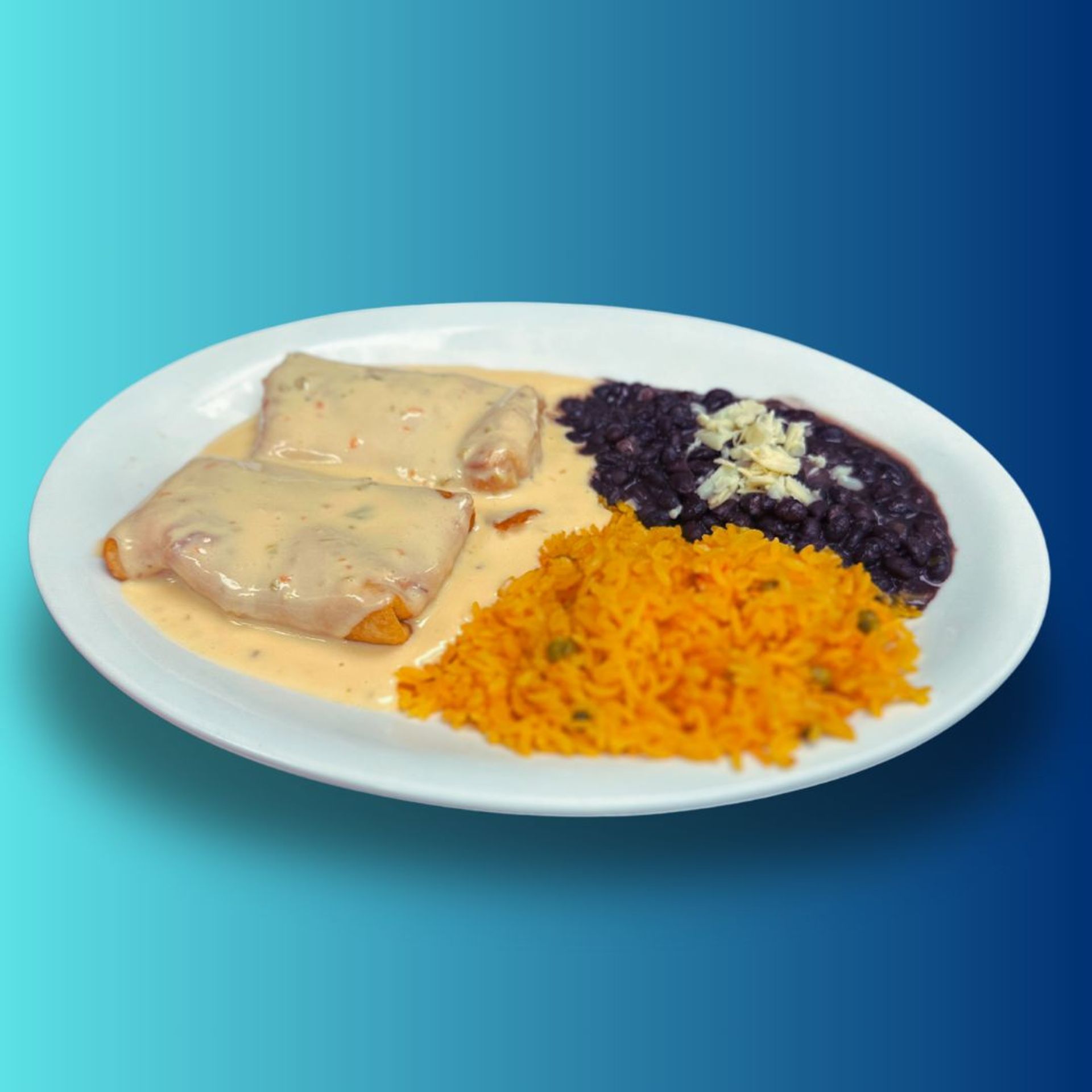 Fried Burritos