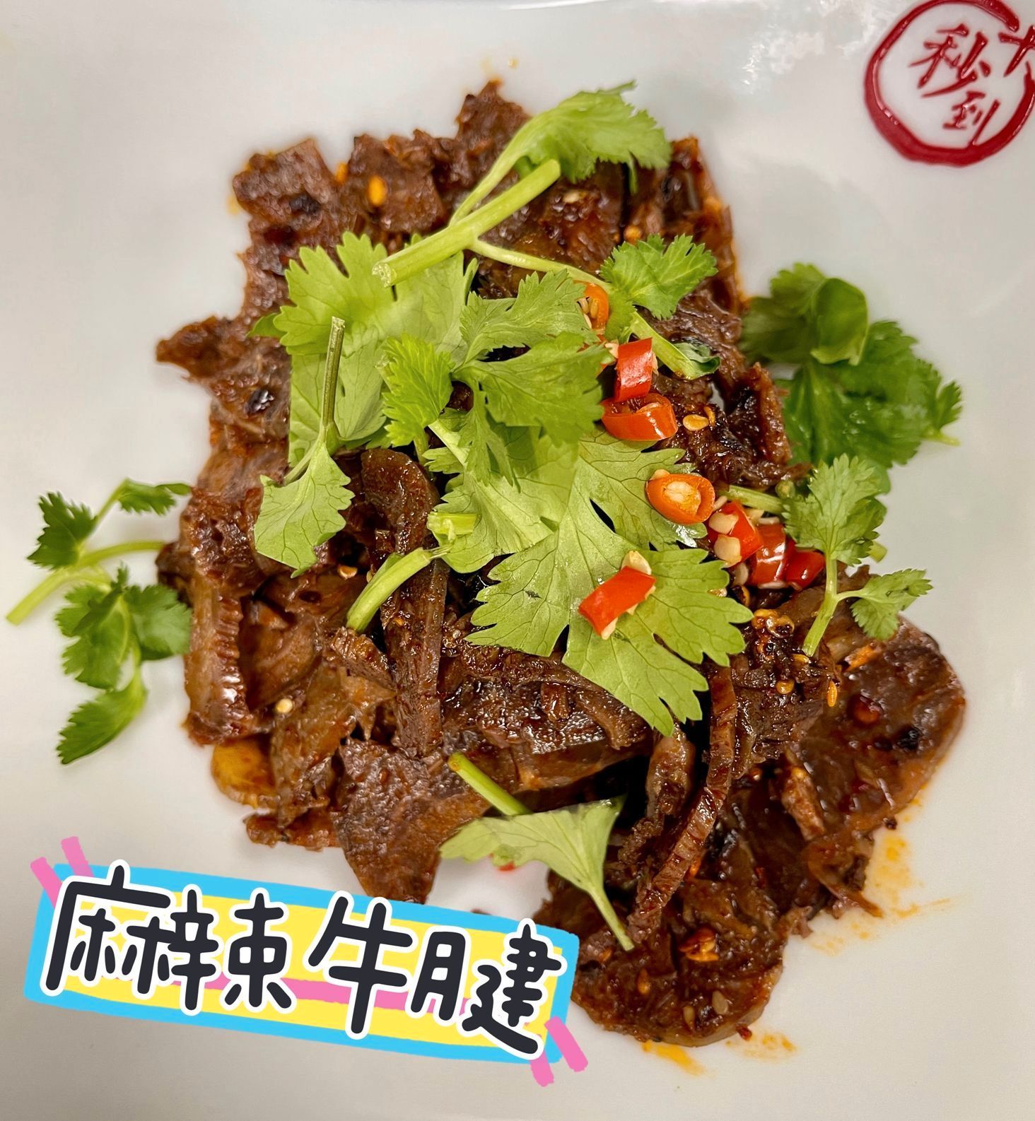 Szechuan Mala Beef Tendon-H 麻辣牛腱-H