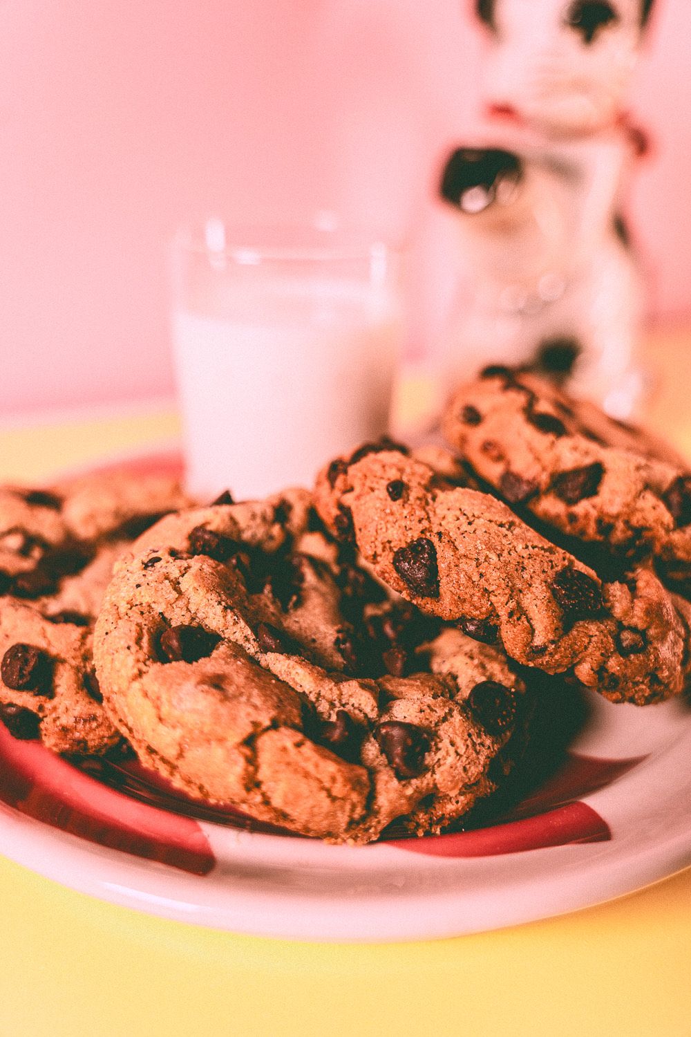Chocolate Chip Cookie