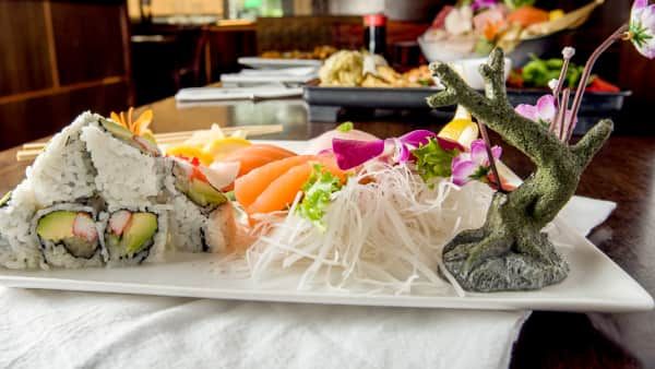 Sushi and Sashimi Combo (L)