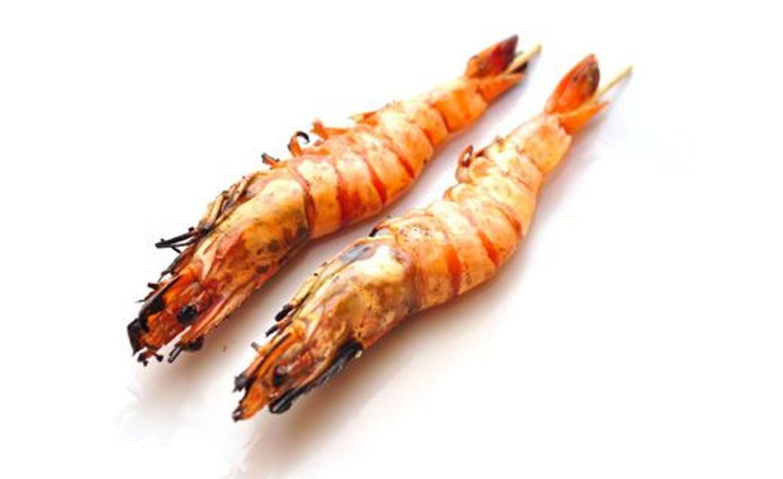 Y11. Yakitori gambas