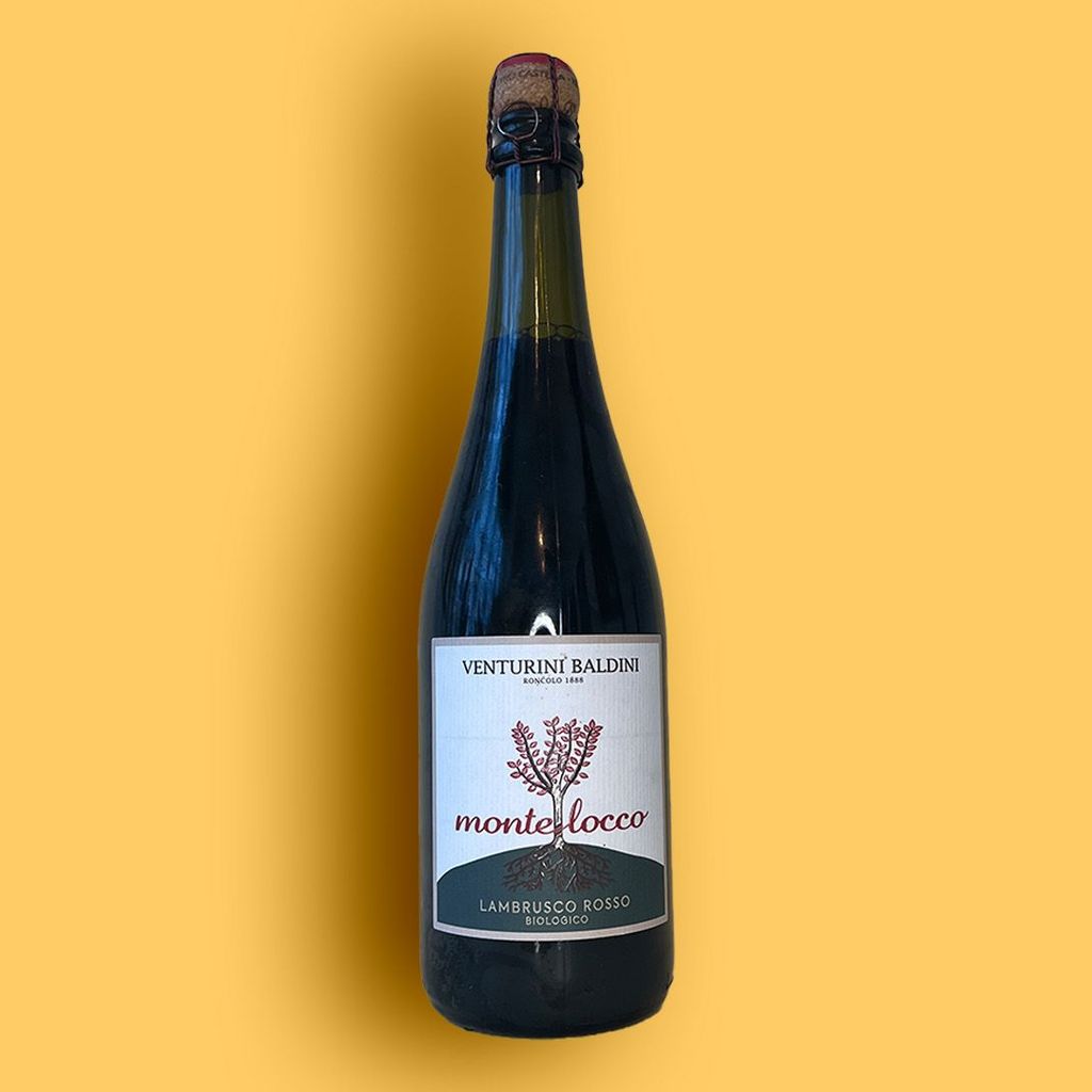 y Lambrusco - Montelocco