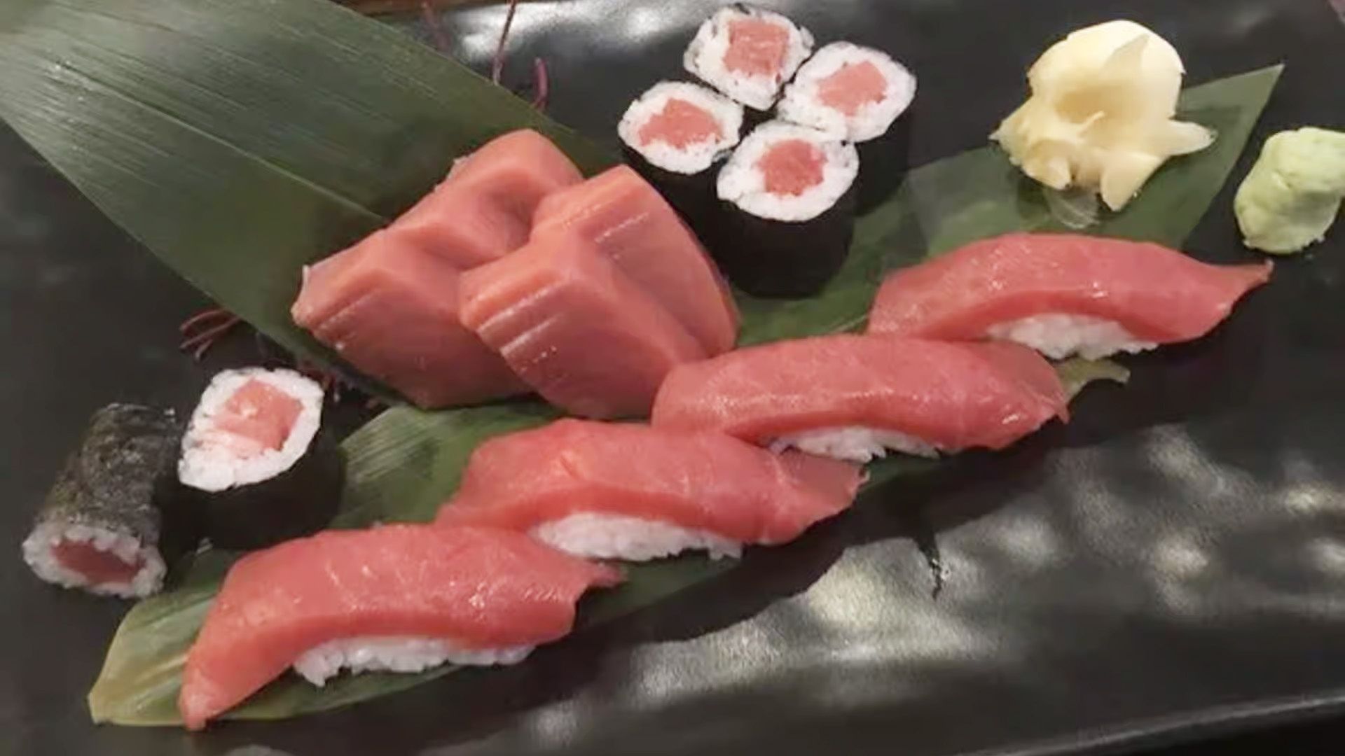 Tuna Lover
