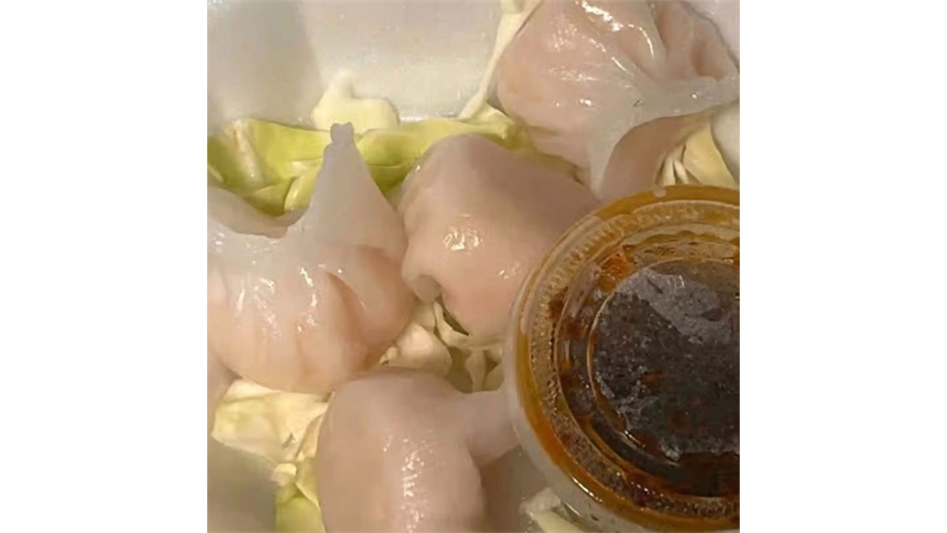 Shrimp Dumpling (4)