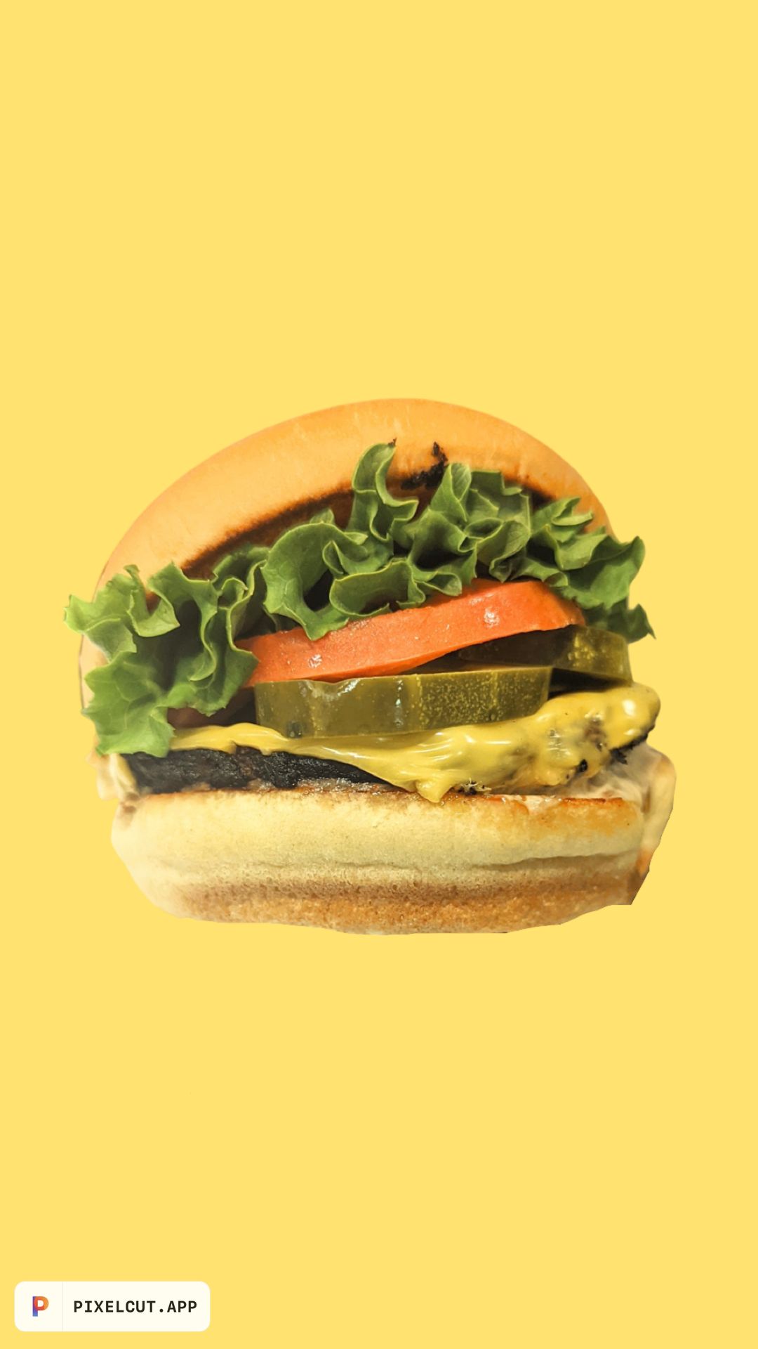 Vegan Single Cheeseburger