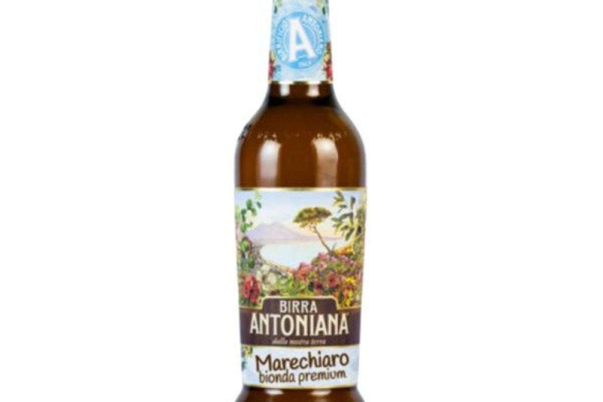 San antoniana blonde